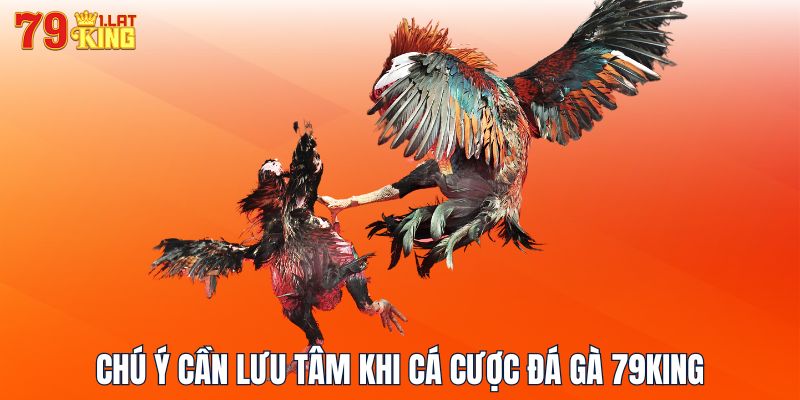 Chú ý cần lưu tâm khi cá cược đá gà 79KING