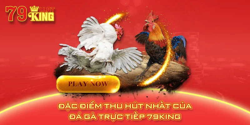 Đặc điểm thu hút nhất của đá gà trực tiếp 79KING